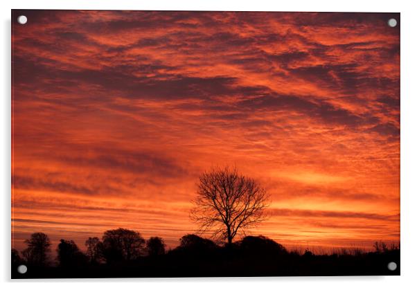 Cotswold  Sunrise Acrylic by Simon Johnson
