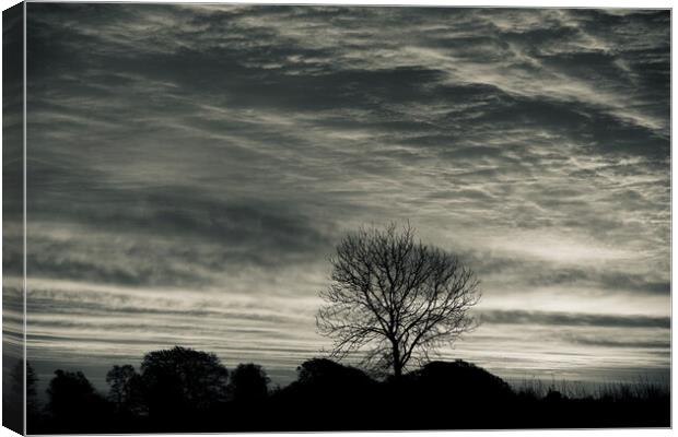 Cotswold sunrise and tree silhouette  Canvas Print by Simon Johnson