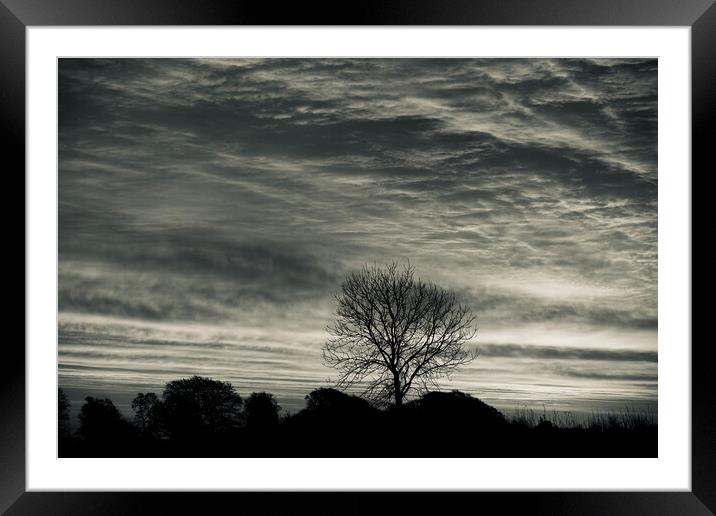 Cotswold sunrise and tree silhouette  Framed Mounted Print by Simon Johnson
