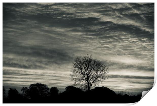 Cotswold sunrise and tree silhouette  Print by Simon Johnson