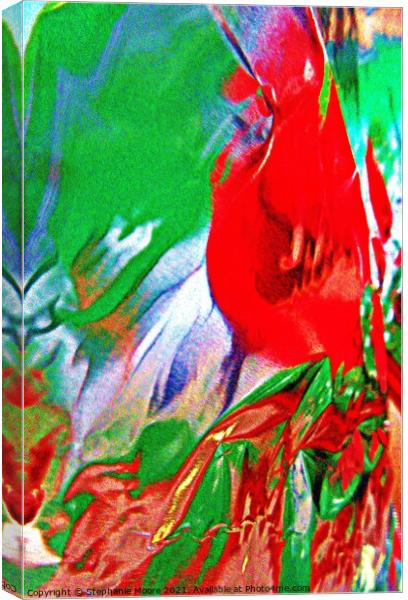 Abstract red flower Canvas Print by Stephanie Moore