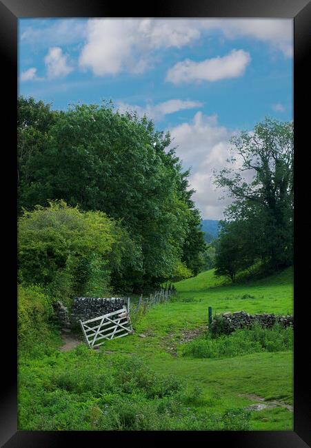 Lathkill Dale Framed Print by Alison Chambers