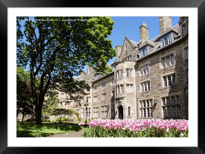 St Salvator's at St Andrews University Framed Mounted Print by Pearl Bucknall