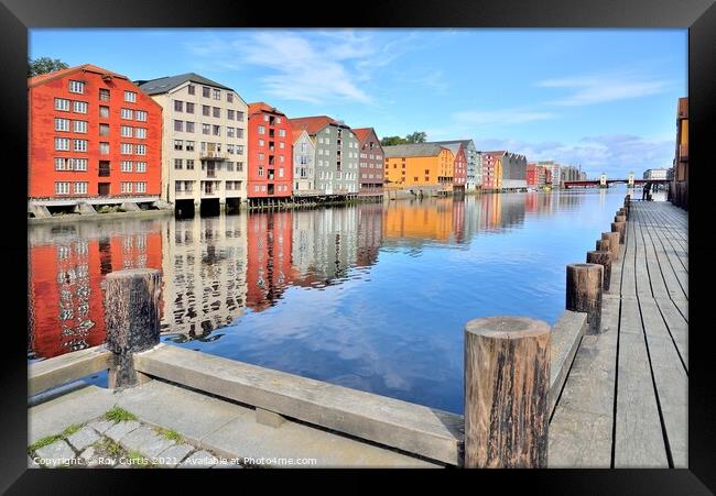 Trondheim reflections. Framed Print by Roy Curtis