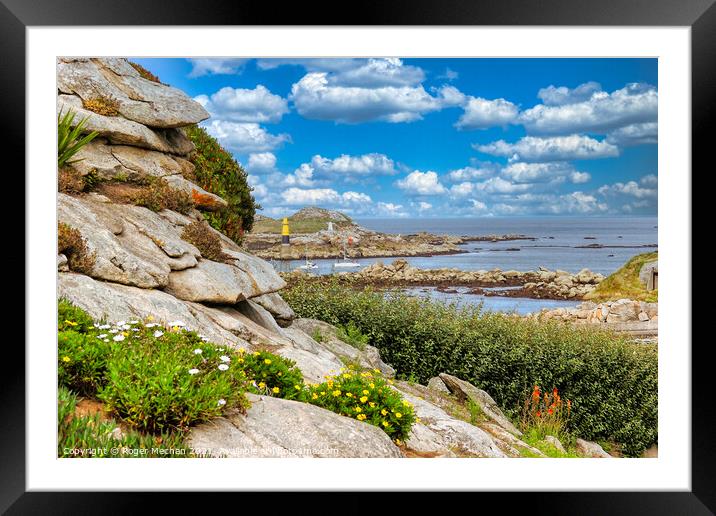 Flowers and Lighthouse Framed Mounted Print by Roger Mechan