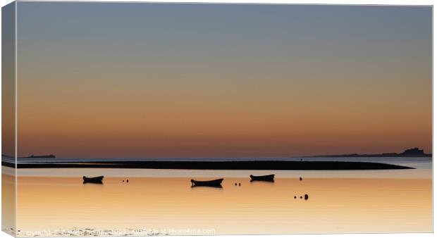 Golden Sunrise on the Northumberland Coast Canvas Print by David Thomas