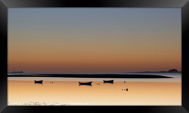 Golden Sunrise on the Northumberland Coast Framed Print by David Thomas