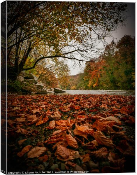 River Severn in Autumn, Trimpley, Worcestershire Canvas Print by Shawn Nicholas