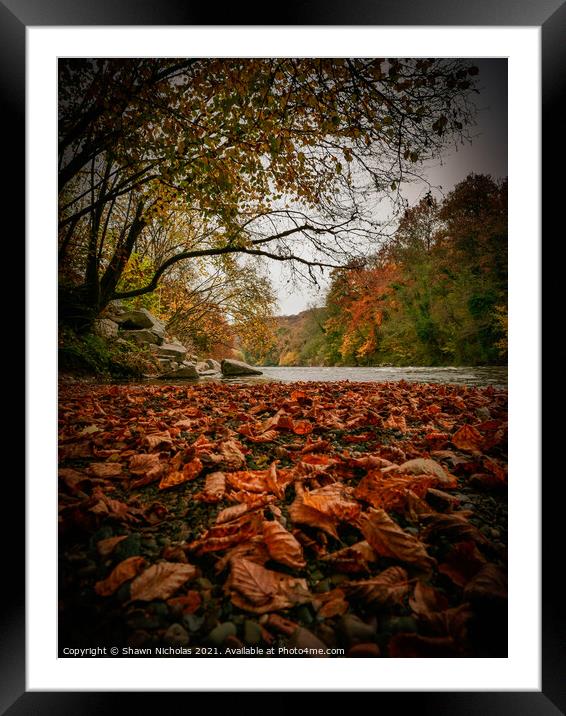 River Severn in Autumn, Trimpley, Worcestershire Framed Mounted Print by Shawn Nicholas