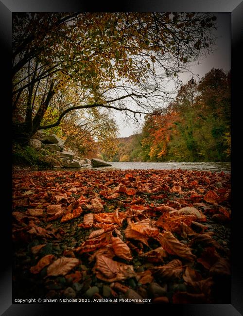River Severn in Autumn, Trimpley, Worcestershire Framed Print by Shawn Nicholas