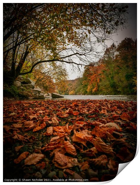River Severn in Autumn, Trimpley, Worcestershire Print by Shawn Nicholas