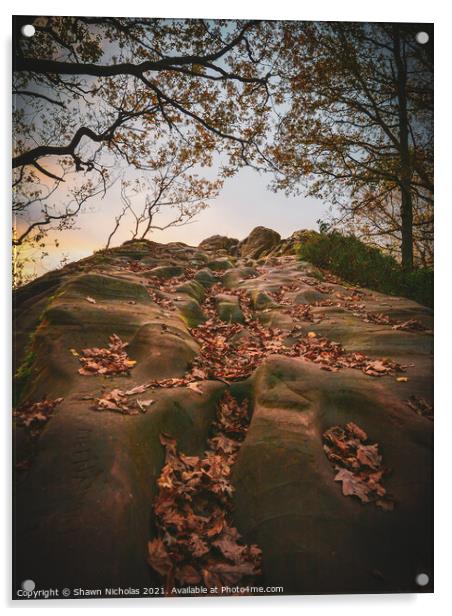 Sandstone Rock Face in Autumn Acrylic by Shawn Nicholas