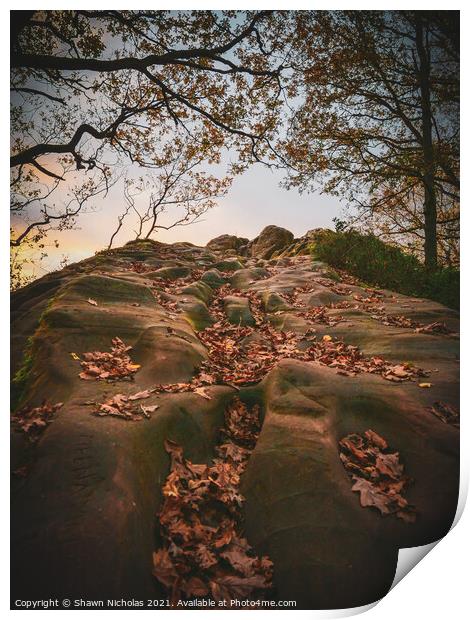 Sandstone Rock Face in Autumn Print by Shawn Nicholas