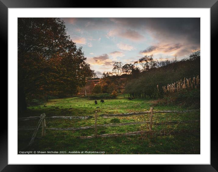 Cloudy Sky in Autumn Framed Mounted Print by Shawn Nicholas