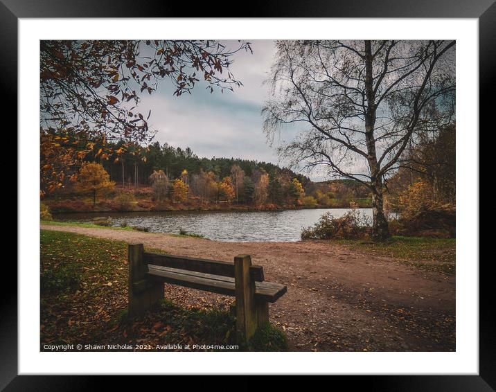 Autumn Landscape looking over the Lake in Cannock Chase, Staffordshire Framed Mounted Print by Shawn Nicholas