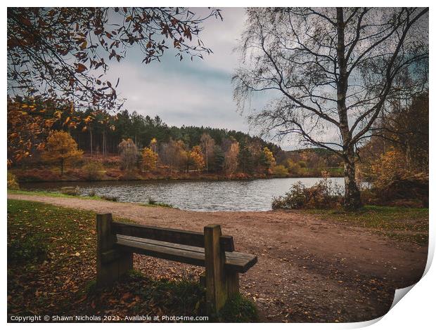 Autumn Landscape looking over the Lake in Cannock Chase, Staffordshire Print by Shawn Nicholas