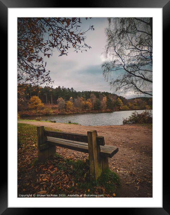 Autumn Landscape looking over the Lake in Cannock Chase, Staffordshire Framed Mounted Print by Shawn Nicholas
