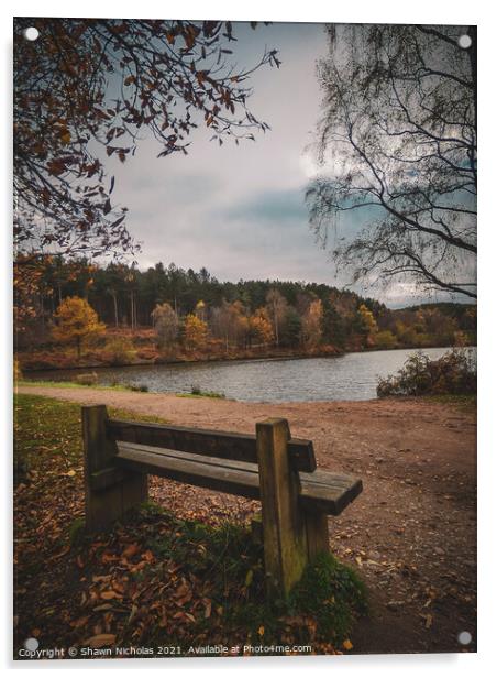 Autumn Landscape looking over the Lake in Cannock Chase, Staffordshire Acrylic by Shawn Nicholas