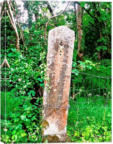 Old stone gatepost Canvas Print by Stephanie Moore
