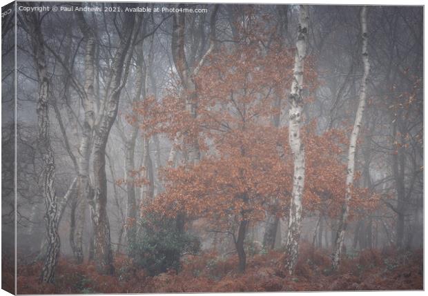 Sherwood Mist Canvas Print by Paul Andrews