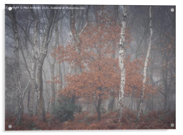 Sherwood Mist Acrylic by Paul Andrews