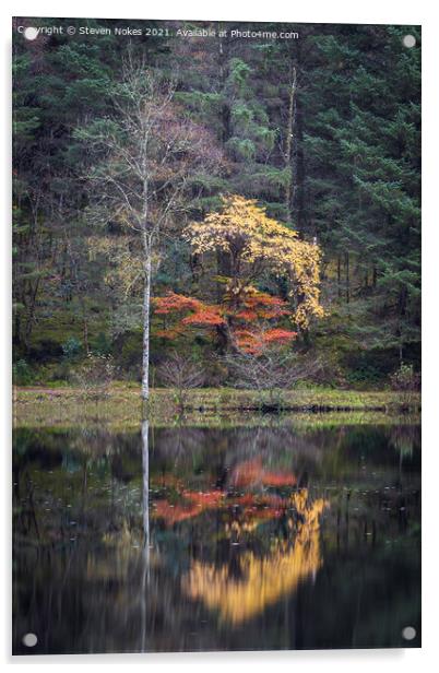 Serene beauty in Glencoe Lochan Acrylic by Steven Nokes