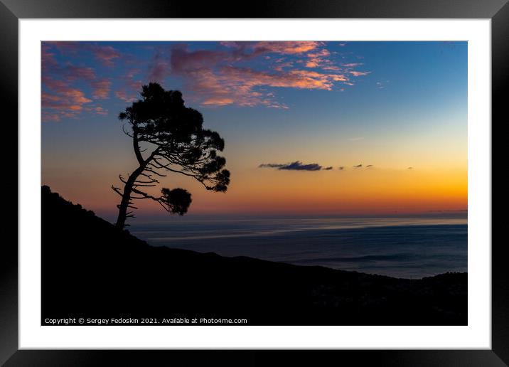Silhouette Pine tree on sunset time.  Framed Mounted Print by Sergey Fedoskin