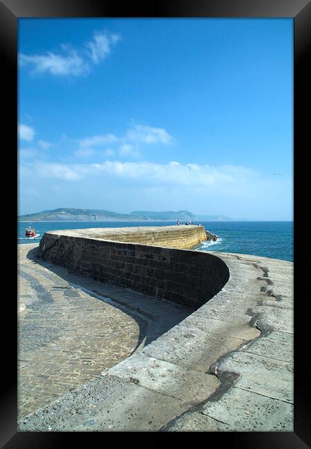 Lyme Regis The Cobb  Framed Print by Alison Chambers