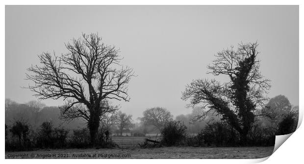 Foggy Afternoon Print by Angela H