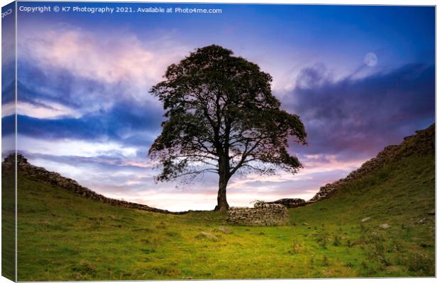 Sycamore Gap Canvas Print by K7 Photography