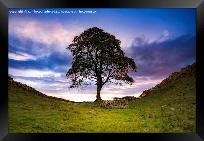 Sycamore Gap Framed Print by K7 Photography