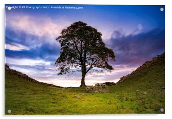 Sycamore Gap Acrylic by K7 Photography