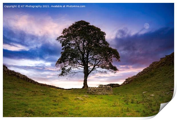 Sycamore Gap Print by K7 Photography