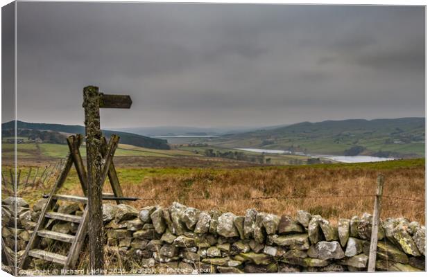 Lunedale Grassholme and Selset Canvas Print by Richard Laidler