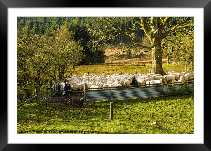 Farmer and Flock Brecon Beacons in November  Framed Mounted Print by Nick Jenkins
