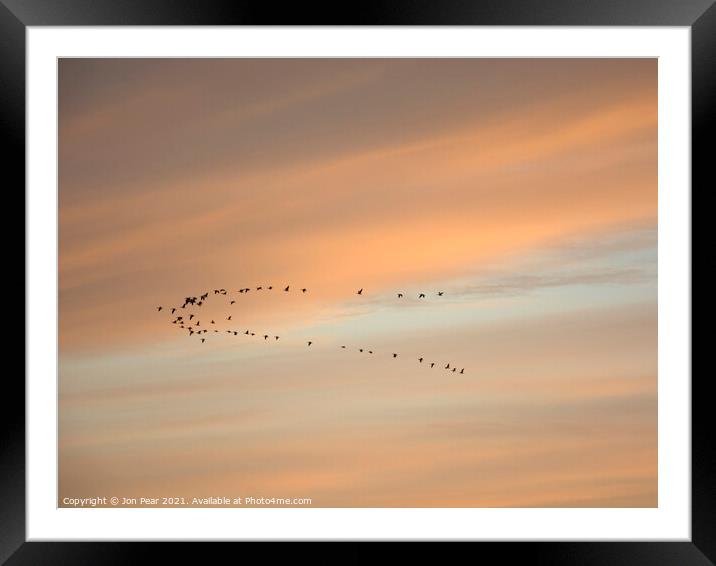 Autumn Geese Framed Mounted Print by Jon Pear