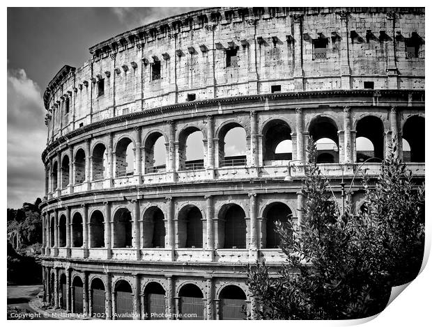 ROME Colosseum Print by Melanie Viola