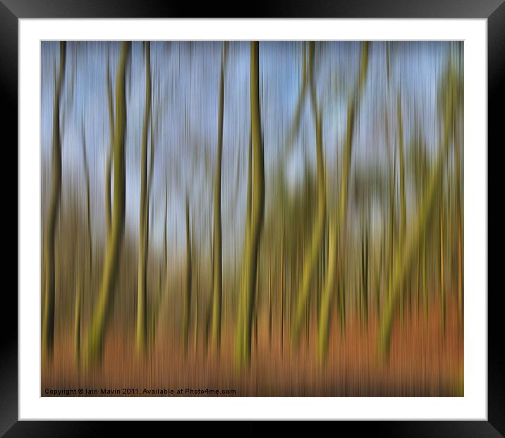 Into The Trees Framed Mounted Print by Iain Mavin