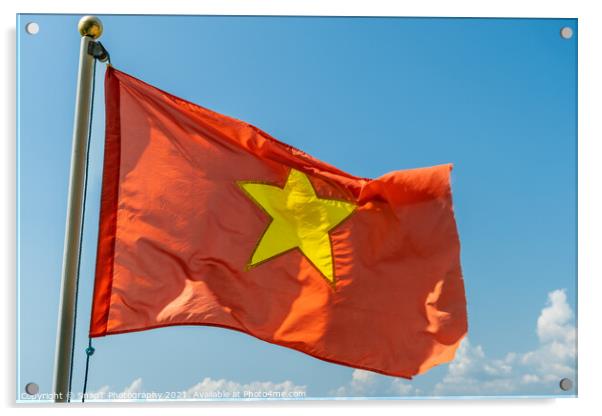 Close up of the red Vietnam National Flag with a gold star in the middle Acrylic by SnapT Photography