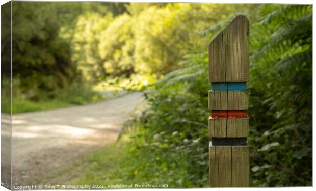 Close up of a three colour trail sign post on a forest trail in the Loch Lomond and Trossachs National Park, Scotland Canvas Print by SnapT Photography