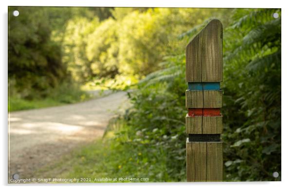 Close up of a three colour trail sign post on a forest trail in the Loch Lomond and Trossachs National Park, Scotland Acrylic by SnapT Photography