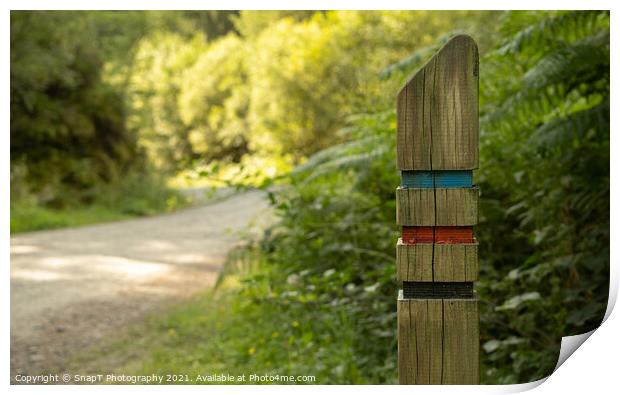 Close up of a three colour trail sign post on a forest trail in the Loch Lomond and Trossachs National Park, Scotland Print by SnapT Photography