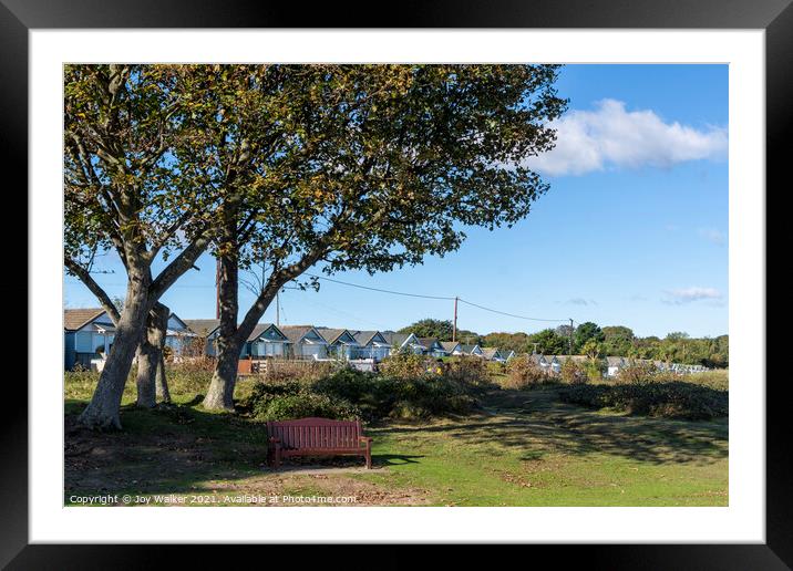 Plant tree Framed Mounted Print by Joy Walker