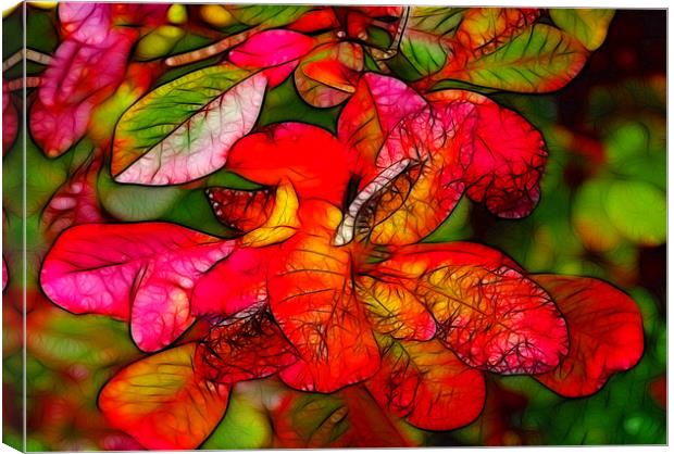 Autumn Colours Canvas Print by Trevor Kersley RIP