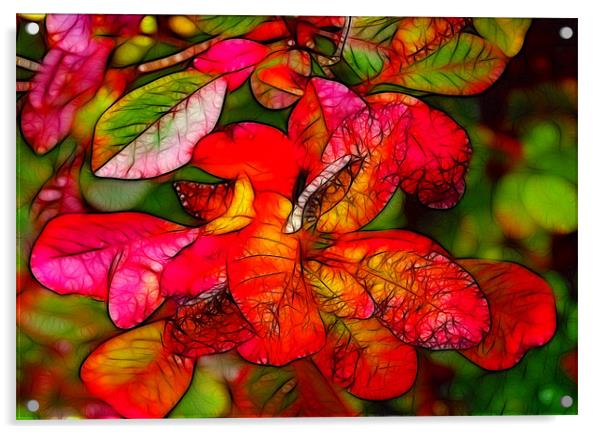 Autumn Colours Acrylic by Trevor Kersley RIP