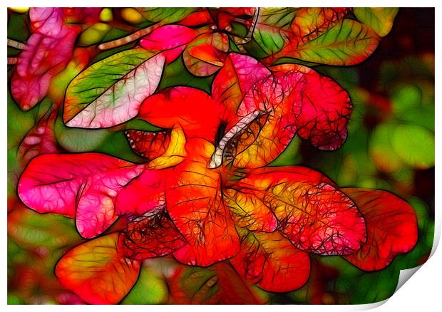 Autumn Colours Print by Trevor Kersley RIP