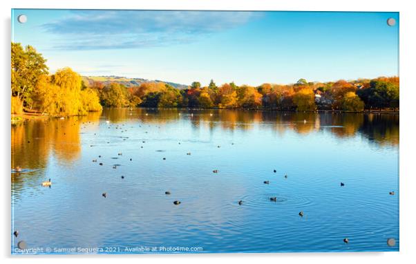 Roath Park Lake in Autumn with Ducks and Swans Swi Acrylic by Samuel Sequeira