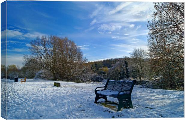 Dearne Valley Park in Winter Canvas Print by Darren Galpin