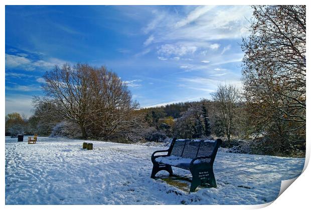 Dearne Valley Park in Winter Print by Darren Galpin