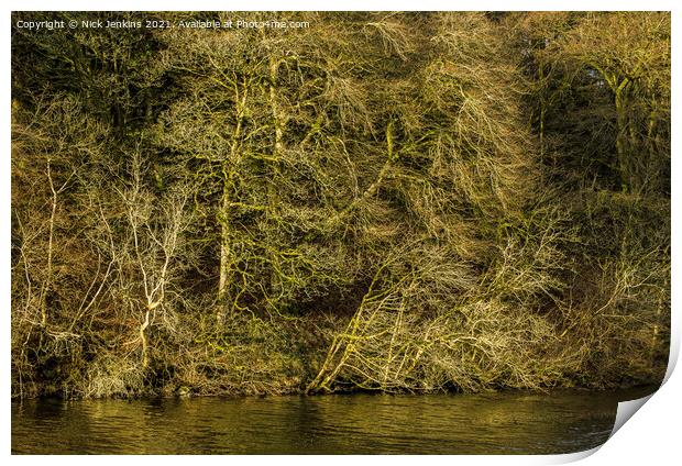 Winter Trees at Pentwyn Reservoir December  Print by Nick Jenkins